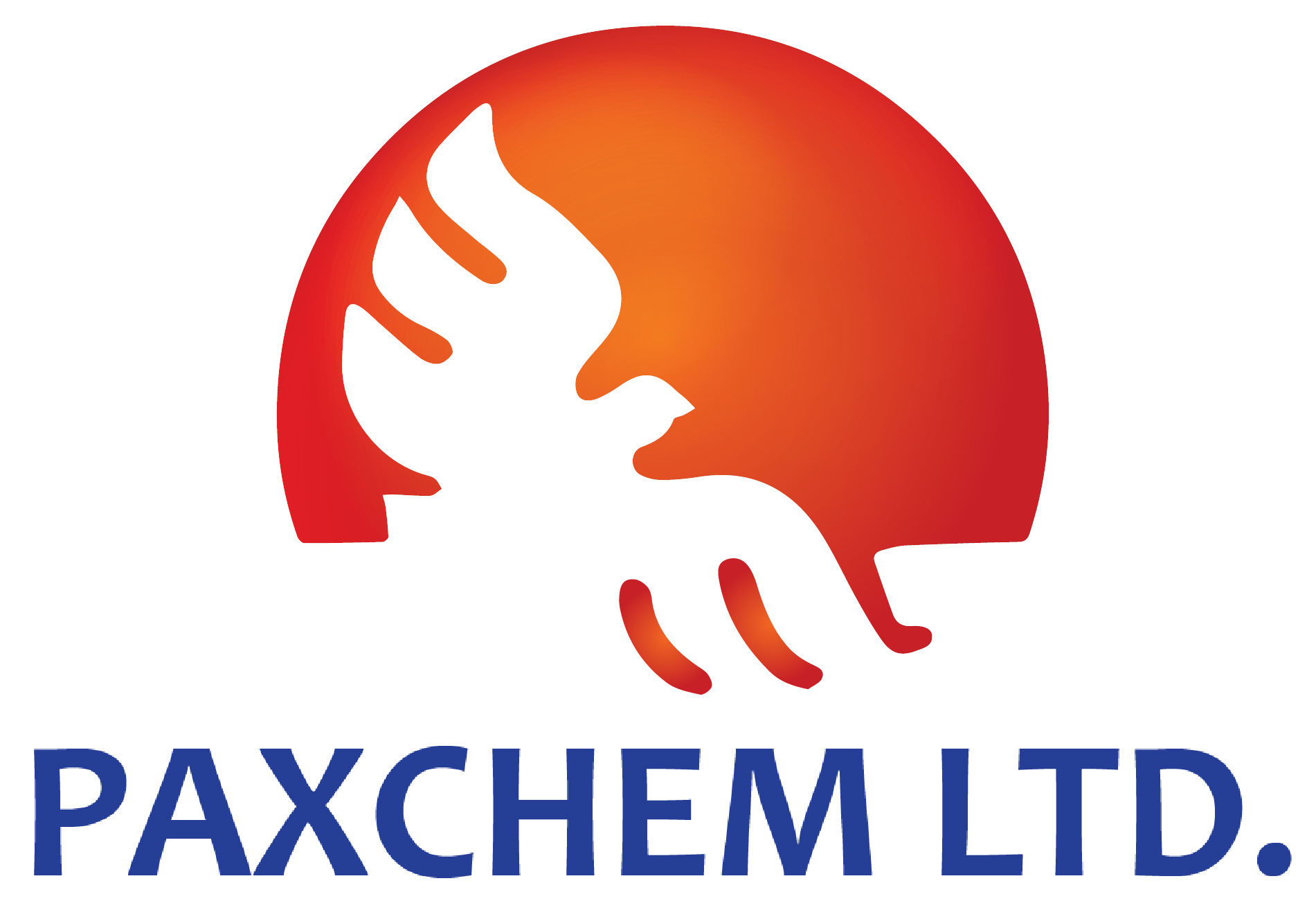 PaxChem Logo _ Gradients