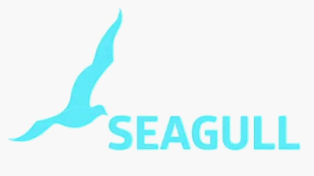 Seagull Advertising the start-up brand launch accelerator of Pune An ...